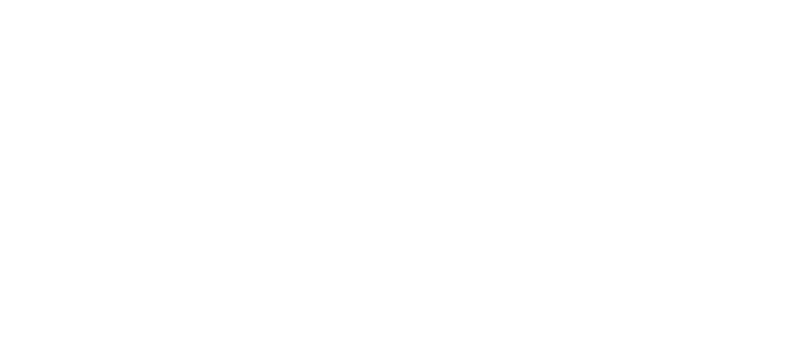 Voka Logo